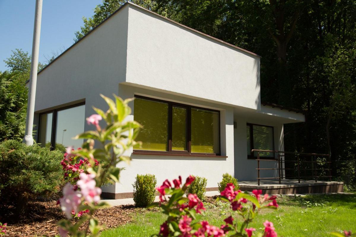 Camping Oaza Blonie Kornik Domki Standard Plus - 3 Pokoje Exterior photo